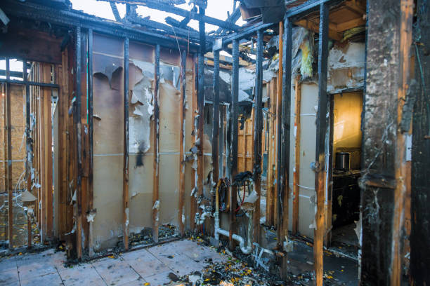 Professional Fire Damage Removal technician working in Dunedin, FL
