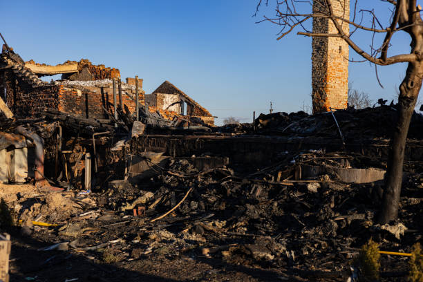 Reliable Fire Damage Removal contractor in Dunedin, FL by Fire Damage Flint