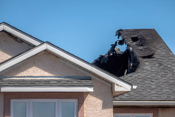 Top rated local Fire Damage Removal specialists in Dunedin, FL